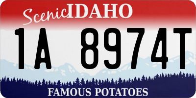 ID license plate 1A8974T