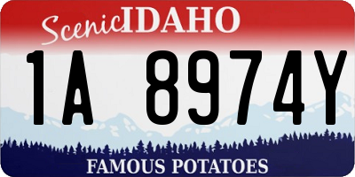 ID license plate 1A8974Y
