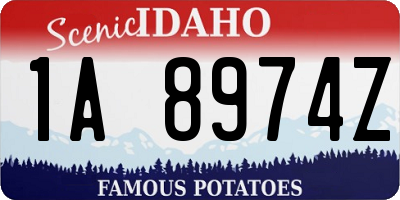 ID license plate 1A8974Z