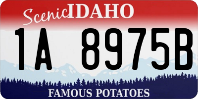 ID license plate 1A8975B