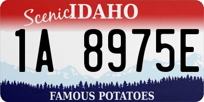 ID license plate 1A8975E