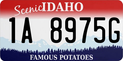 ID license plate 1A8975G