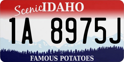 ID license plate 1A8975J