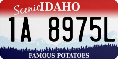 ID license plate 1A8975L