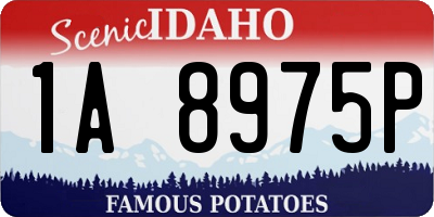 ID license plate 1A8975P