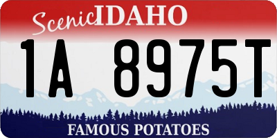 ID license plate 1A8975T
