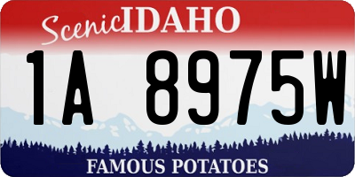 ID license plate 1A8975W