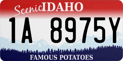 ID license plate 1A8975Y