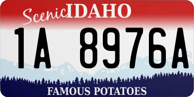 ID license plate 1A8976A