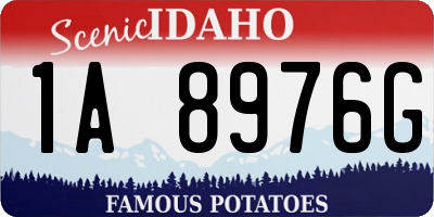 ID license plate 1A8976G