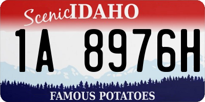 ID license plate 1A8976H