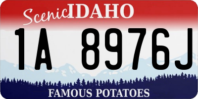 ID license plate 1A8976J