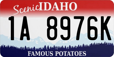 ID license plate 1A8976K