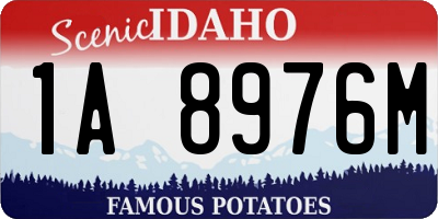 ID license plate 1A8976M