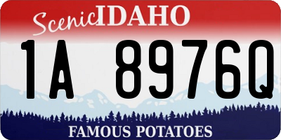 ID license plate 1A8976Q