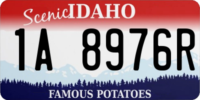 ID license plate 1A8976R