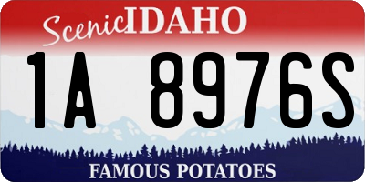 ID license plate 1A8976S