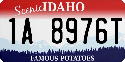 ID license plate 1A8976T