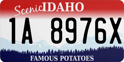 ID license plate 1A8976X