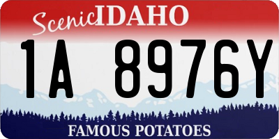 ID license plate 1A8976Y