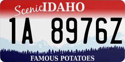 ID license plate 1A8976Z