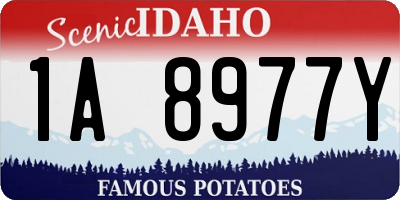 ID license plate 1A8977Y