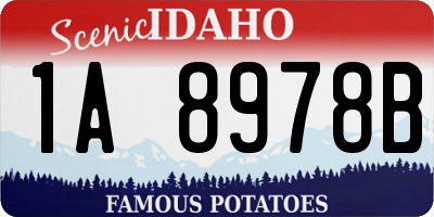 ID license plate 1A8978B