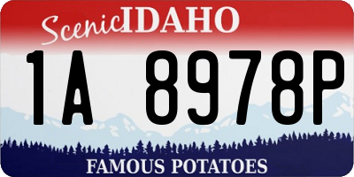 ID license plate 1A8978P