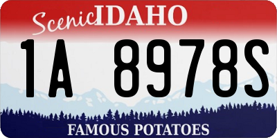 ID license plate 1A8978S