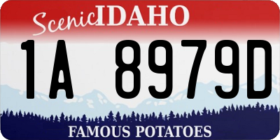 ID license plate 1A8979D