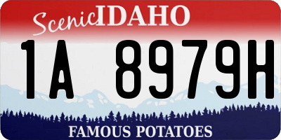 ID license plate 1A8979H