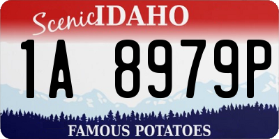 ID license plate 1A8979P