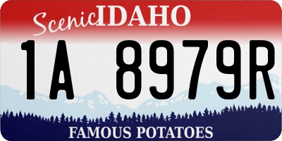 ID license plate 1A8979R