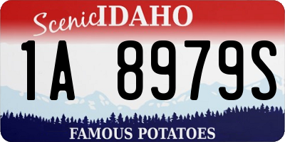 ID license plate 1A8979S