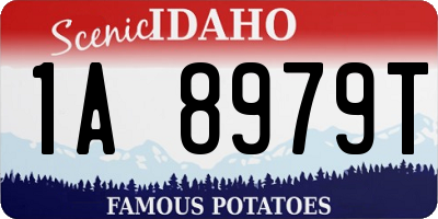 ID license plate 1A8979T