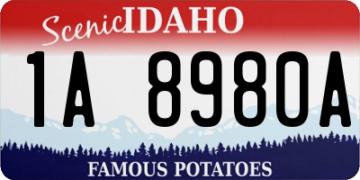 ID license plate 1A8980A