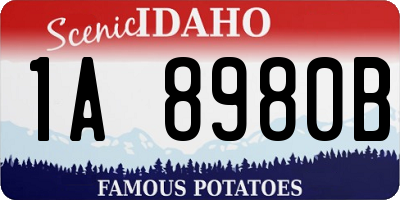 ID license plate 1A8980B