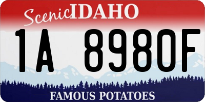 ID license plate 1A8980F
