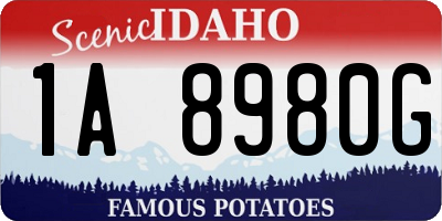 ID license plate 1A8980G