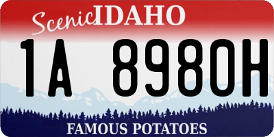 ID license plate 1A8980H