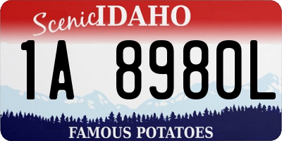 ID license plate 1A8980L