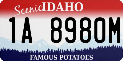 ID license plate 1A8980M