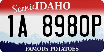 ID license plate 1A8980P