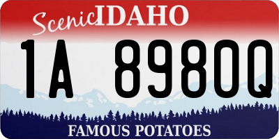 ID license plate 1A8980Q