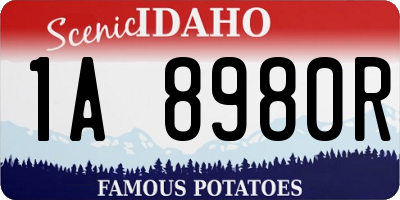 ID license plate 1A8980R
