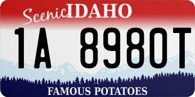 ID license plate 1A8980T