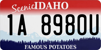ID license plate 1A8980U
