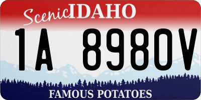 ID license plate 1A8980V