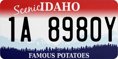 ID license plate 1A8980Y
