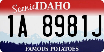 ID license plate 1A8981J
